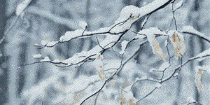 2018���һ��ѩ�����Լs�˿��{�Ĝ�ܰ��ʾ